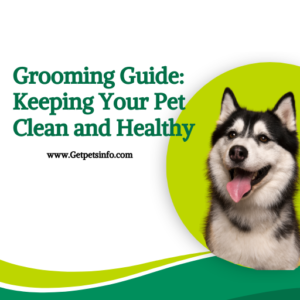 Keeping Your Pet Clean and Healthy 