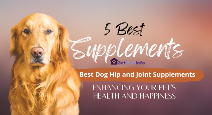 Best Dog Hip and Joint Supplements | getpetsinfo