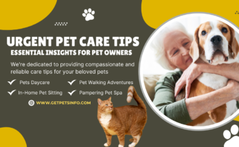 urgent pet care tips