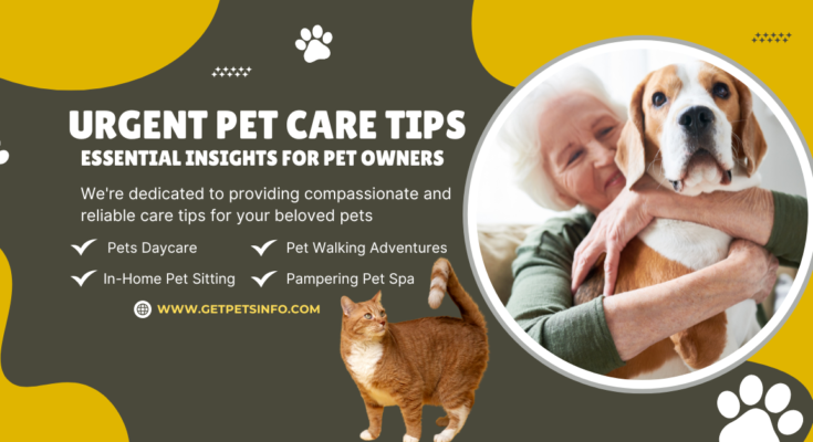 urgent pet care tips