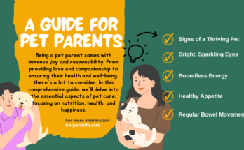 A guide for pet parents