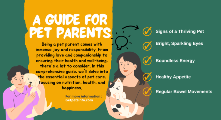 A guide for pet parents