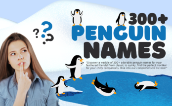 "Discover a waddle of 300+ adorable penguin names for your feathered friends! From classic to quirky, find the perfect moniker for your chilly companions. Dive into our comprehensive list now!"