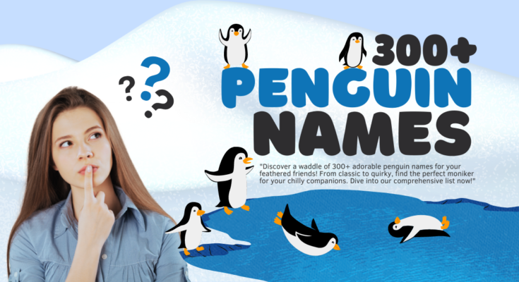 "Discover a waddle of 300+ adorable penguin names for your feathered friends! From classic to quirky, find the perfect moniker for your chilly companions. Dive into our comprehensive list now!"