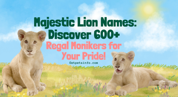 Lion Names